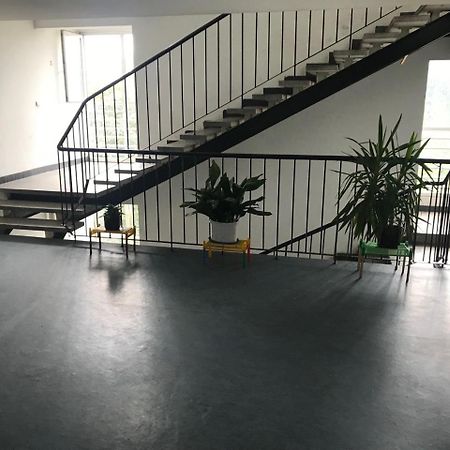 Arena Apartman Belgrad Zewnętrze zdjęcie